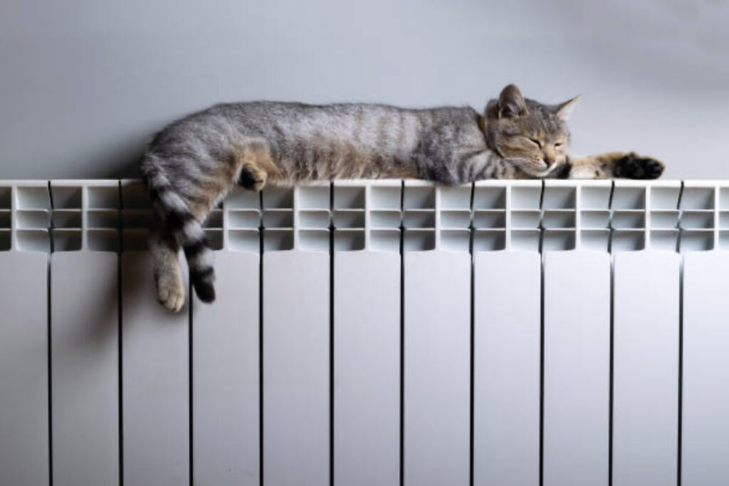 Un chat allongé sur un radiateur